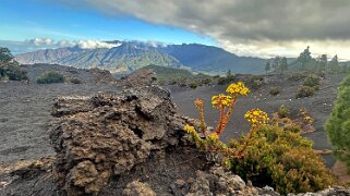 El Pilar - Montana de los Charcos
